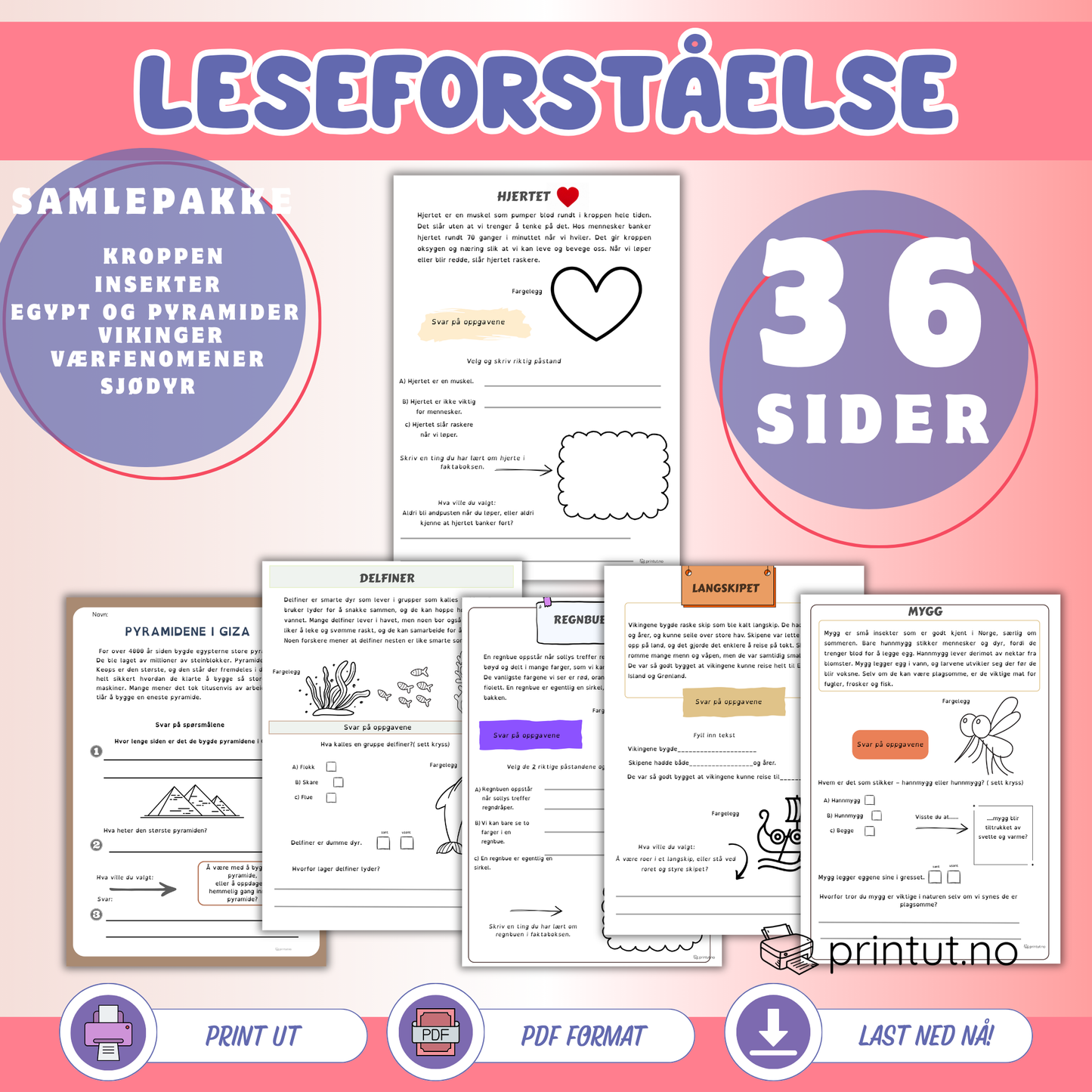 Leseforståelse-6 tema