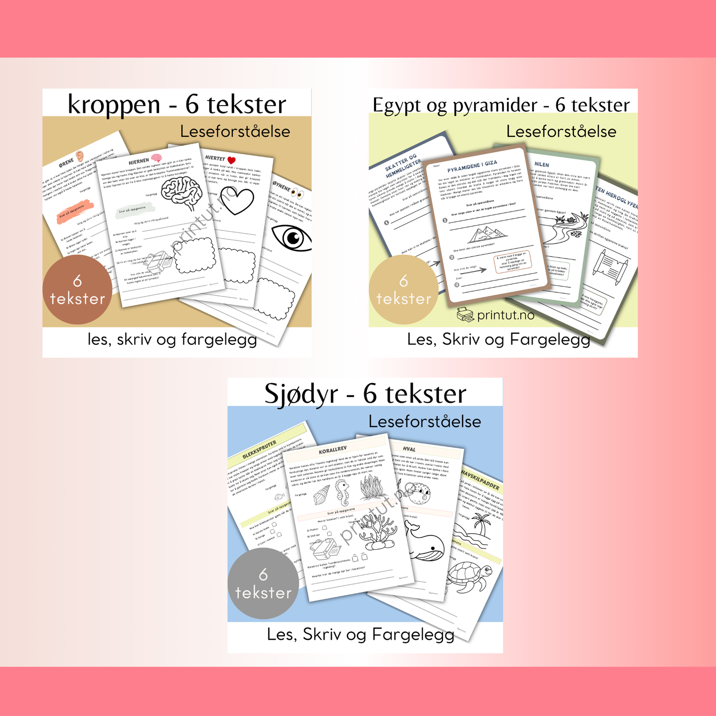 Leseforståelse-6 tema