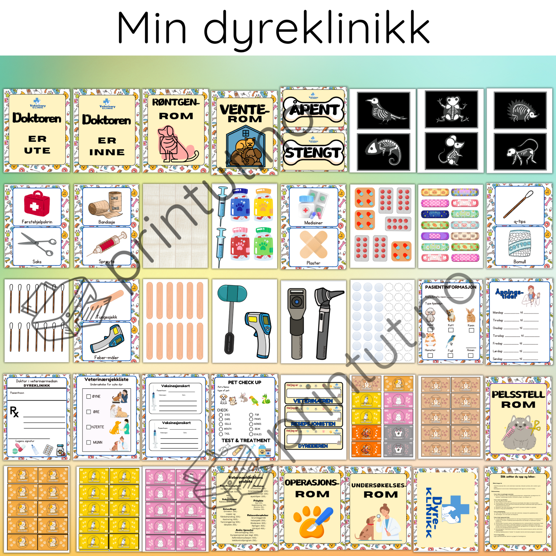 Oversikt over de ulike tingene pakken inneholder. Alt fra skilt, røntgen, pasientkort med mer