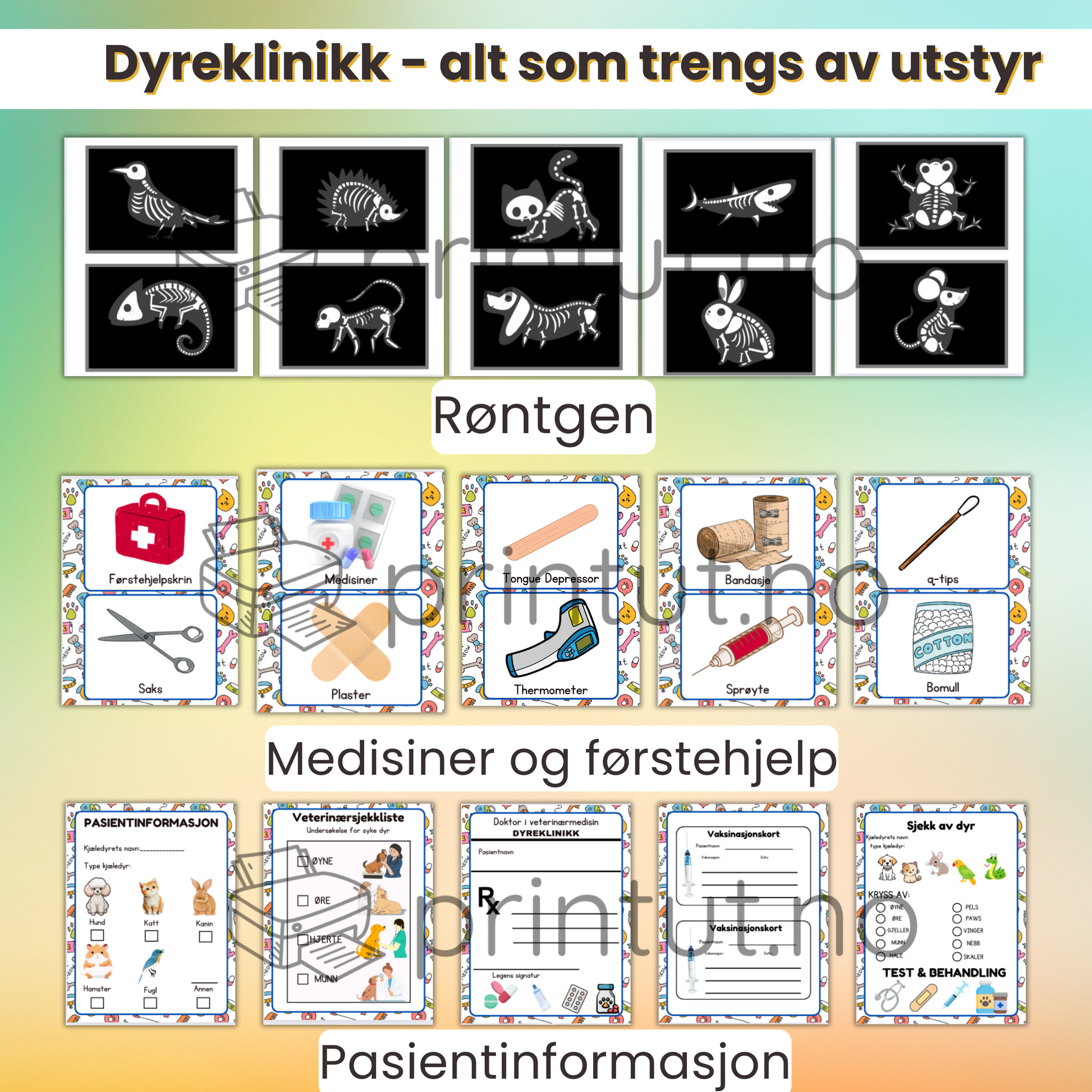 røntgenbilder, utstyr og pasientskjema for dyrene